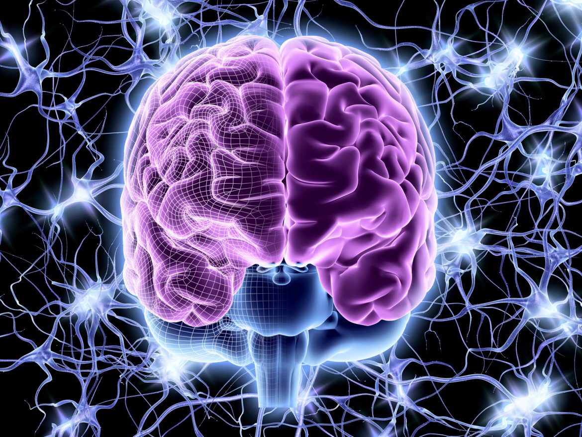 anxiity train your brain Train Your Brain, Introduction